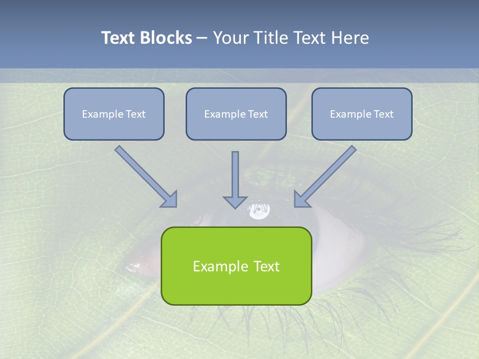 A Close Up Of A Leaf With A Blue Eye PowerPoint Template
