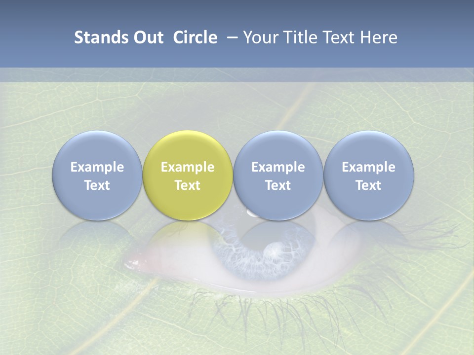 A Close Up Of A Leaf With A Blue Eye PowerPoint Template