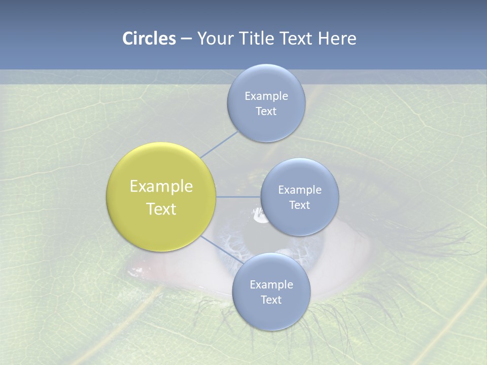 A Close Up Of A Leaf With A Blue Eye PowerPoint Template