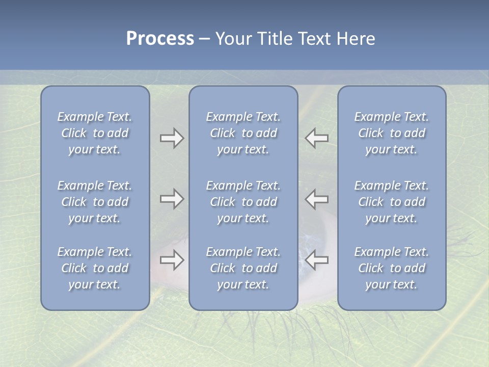 A Close Up Of A Leaf With A Blue Eye PowerPoint Template