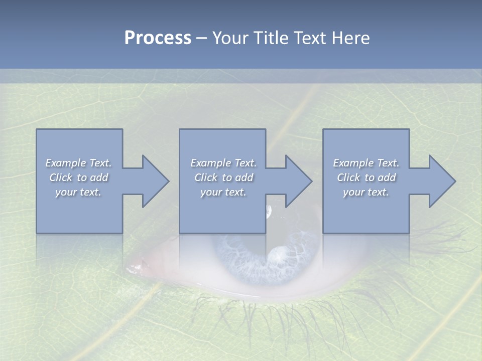 A Close Up Of A Leaf With A Blue Eye PowerPoint Template