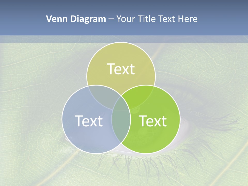 A Close Up Of A Leaf With A Blue Eye PowerPoint Template