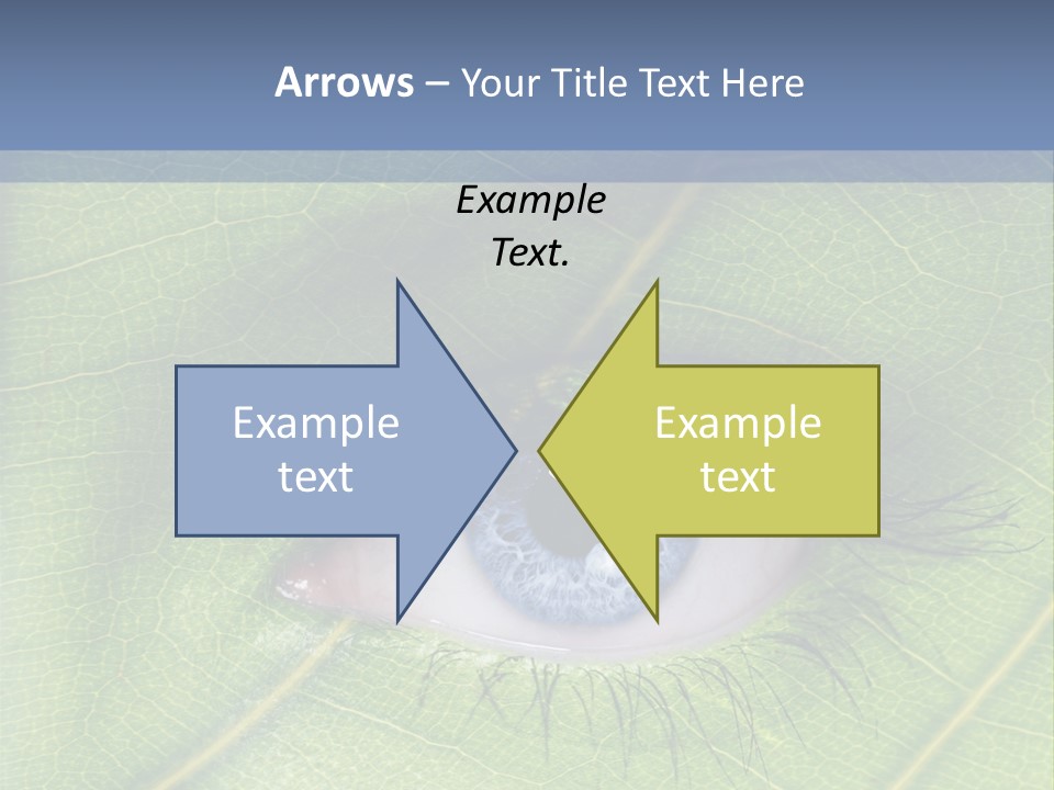 A Close Up Of A Leaf With A Blue Eye PowerPoint Template