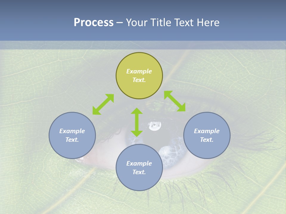 A Close Up Of A Leaf With A Blue Eye PowerPoint Template