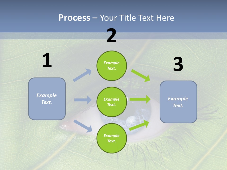 A Close Up Of A Leaf With A Blue Eye PowerPoint Template