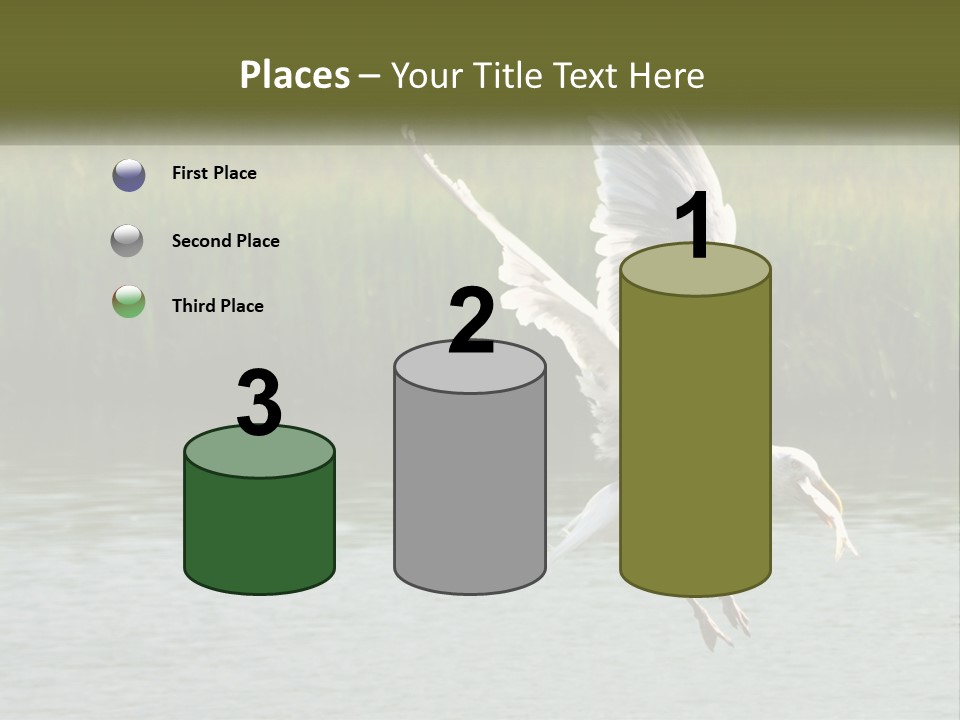 A White Bird Flying Over A Body Of Water PowerPoint Template