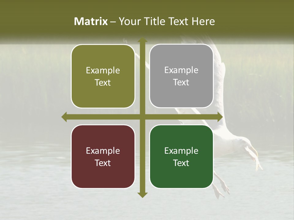 A White Bird Flying Over A Body Of Water PowerPoint Template