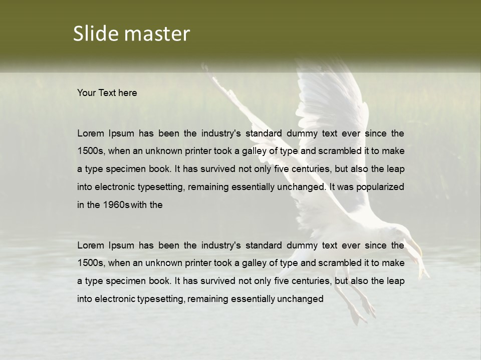 A White Bird Flying Over A Body Of Water PowerPoint Template
