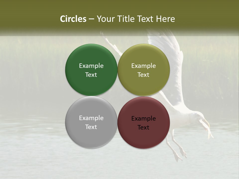 A White Bird Flying Over A Body Of Water PowerPoint Template