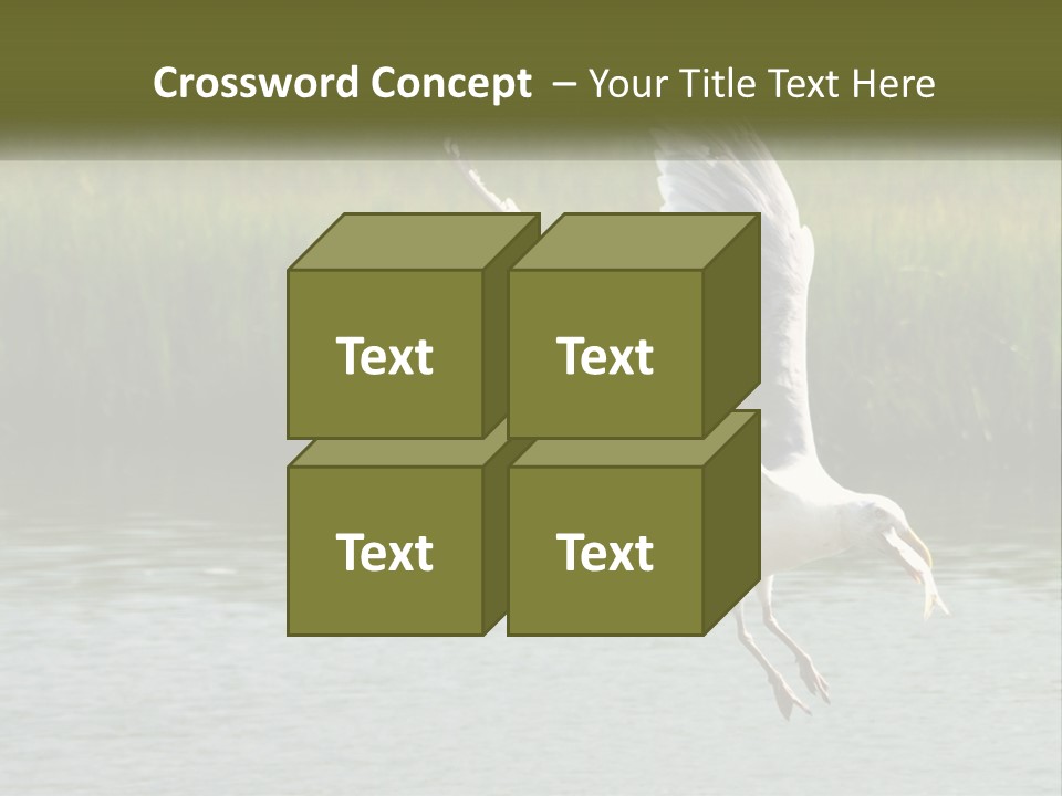 A White Bird Flying Over A Body Of Water PowerPoint Template
