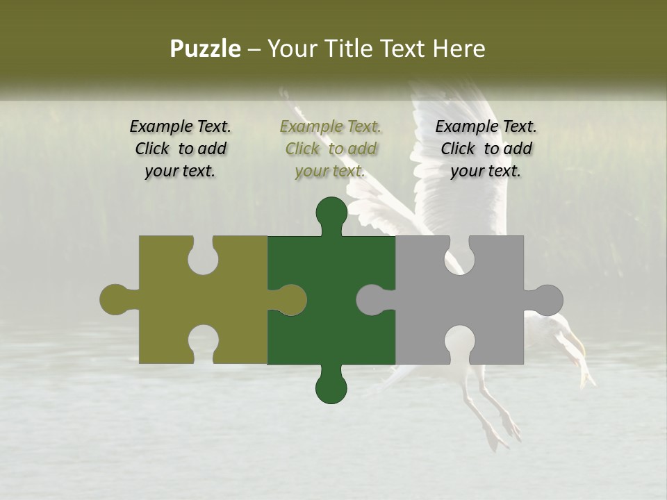 A White Bird Flying Over A Body Of Water PowerPoint Template