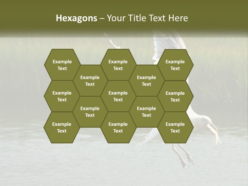 A White Bird Flying Over A Body Of Water PowerPoint Template