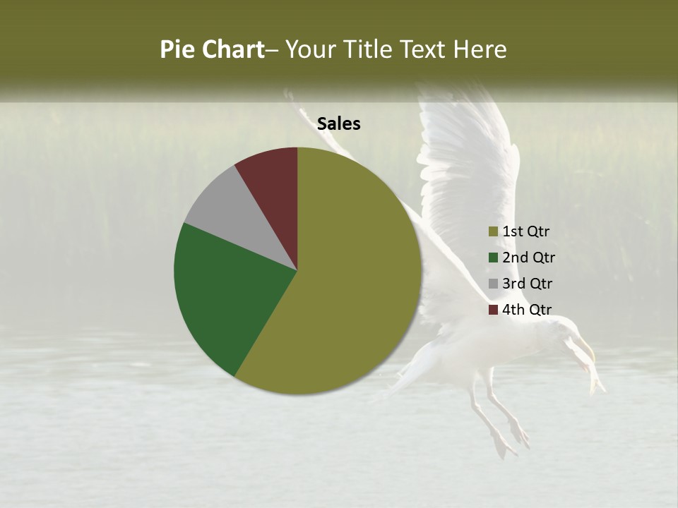 A White Bird Flying Over A Body Of Water PowerPoint Template
