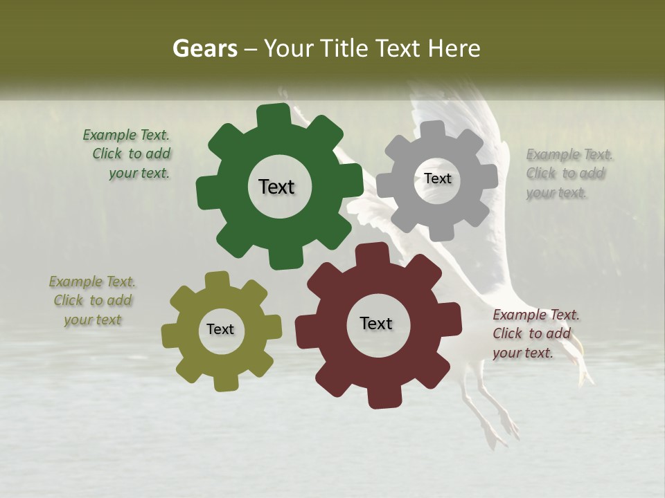 A White Bird Flying Over A Body Of Water PowerPoint Template