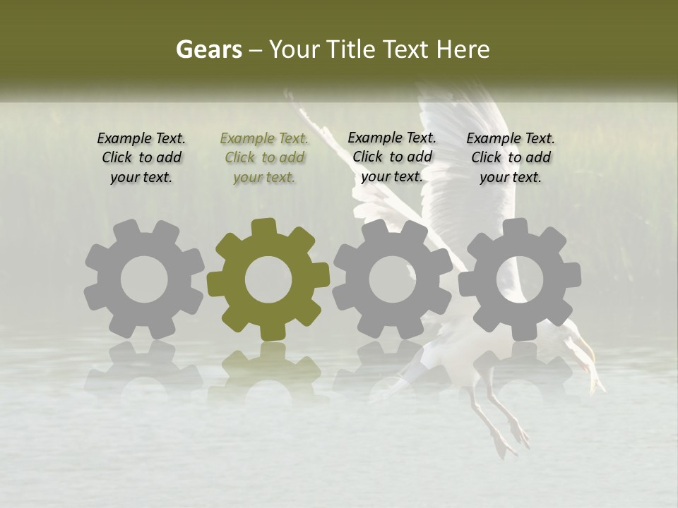 A White Bird Flying Over A Body Of Water PowerPoint Template