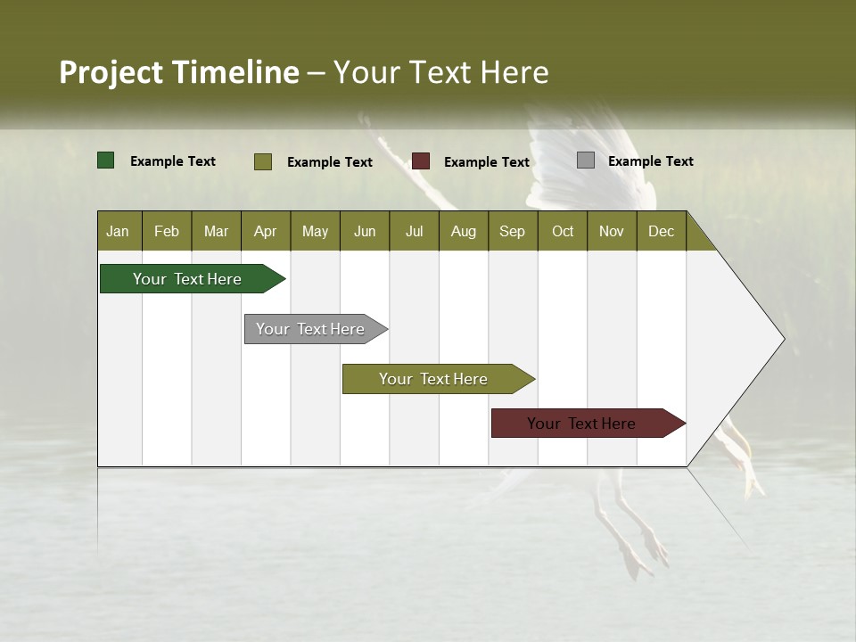 A White Bird Flying Over A Body Of Water PowerPoint Template