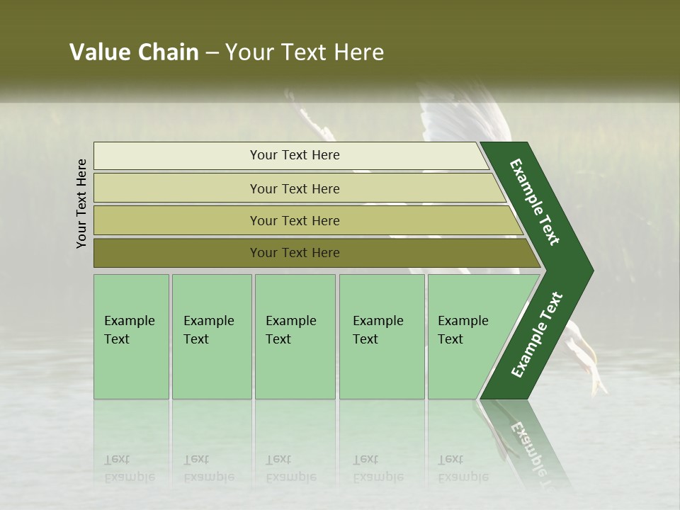 A White Bird Flying Over A Body Of Water PowerPoint Template