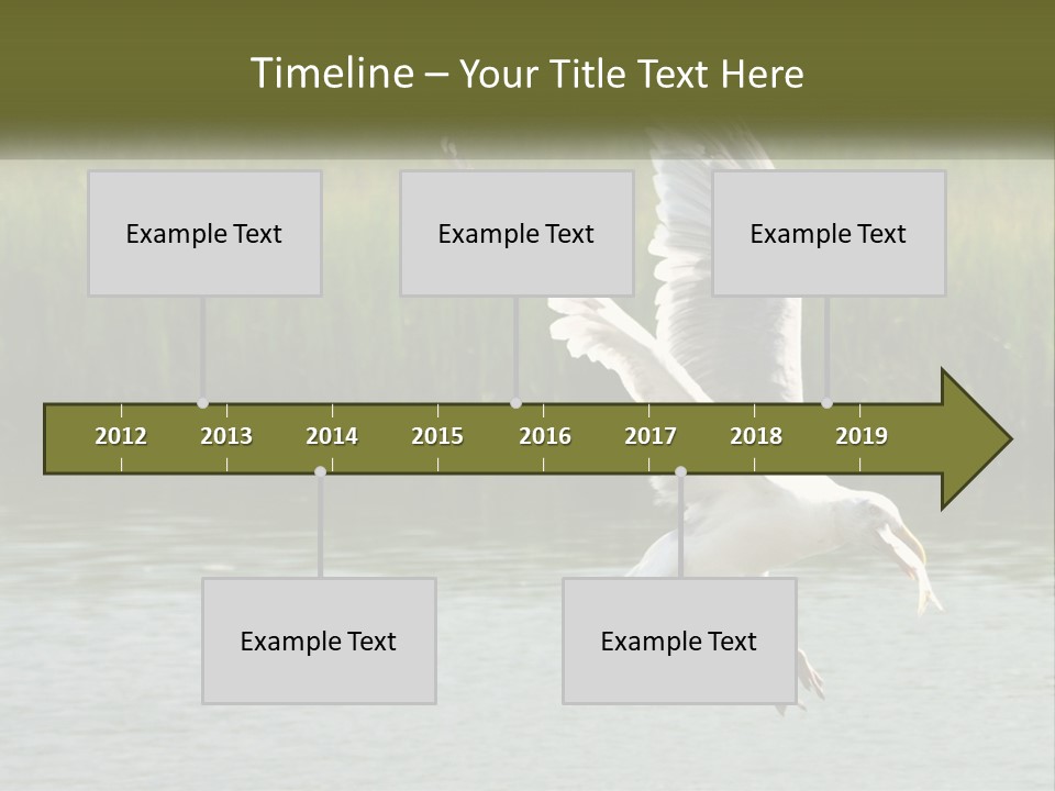 A White Bird Flying Over A Body Of Water PowerPoint Template