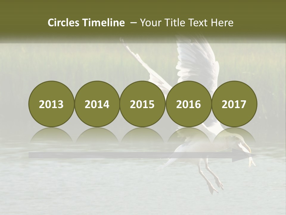 A White Bird Flying Over A Body Of Water PowerPoint Template