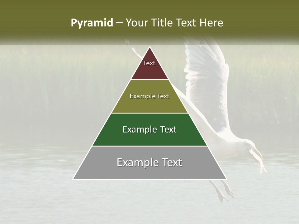 A White Bird Flying Over A Body Of Water PowerPoint Template