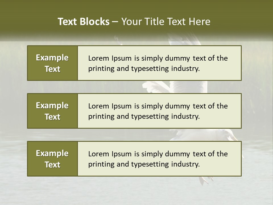 A White Bird Flying Over A Body Of Water PowerPoint Template