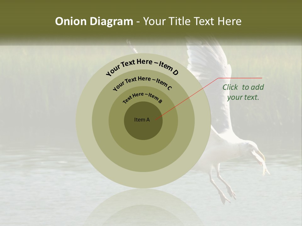 A White Bird Flying Over A Body Of Water PowerPoint Template