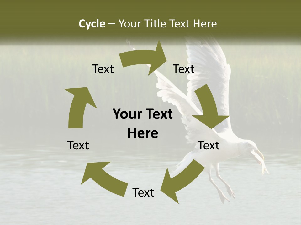 A White Bird Flying Over A Body Of Water PowerPoint Template