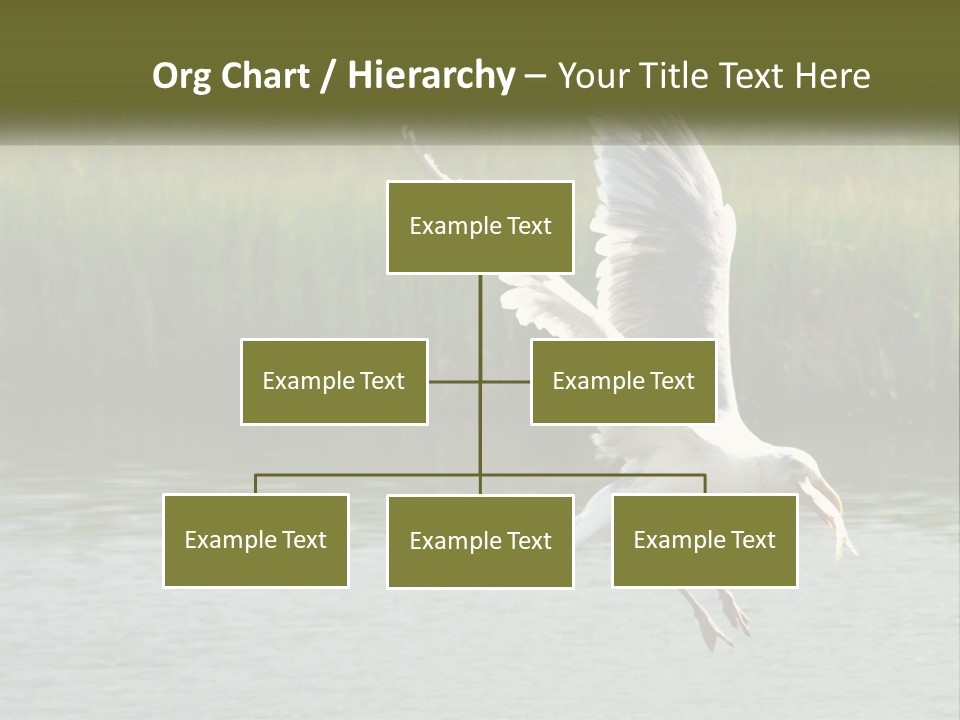 A White Bird Flying Over A Body Of Water PowerPoint Template