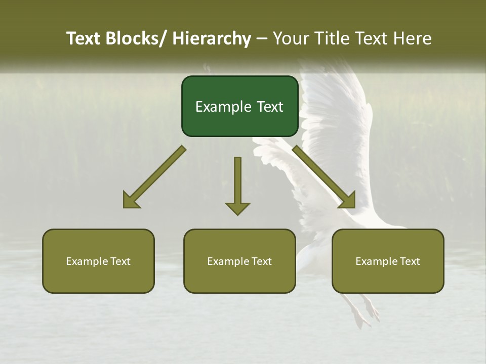 A White Bird Flying Over A Body Of Water PowerPoint Template