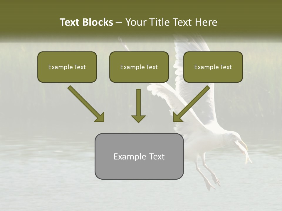 A White Bird Flying Over A Body Of Water PowerPoint Template