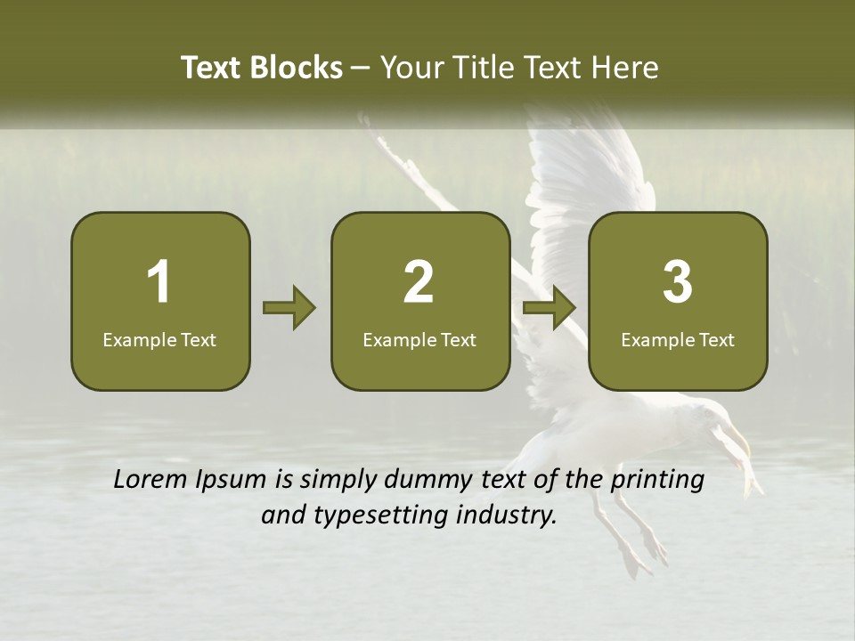 A White Bird Flying Over A Body Of Water PowerPoint Template