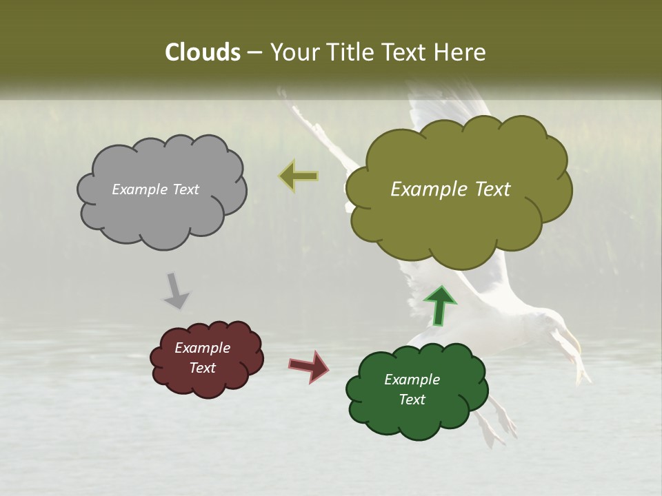 A White Bird Flying Over A Body Of Water PowerPoint Template