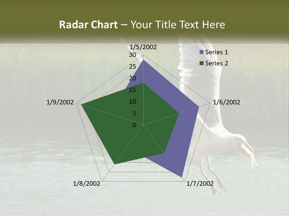 A White Bird Flying Over A Body Of Water PowerPoint Template