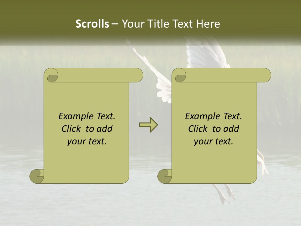 A White Bird Flying Over A Body Of Water PowerPoint Template