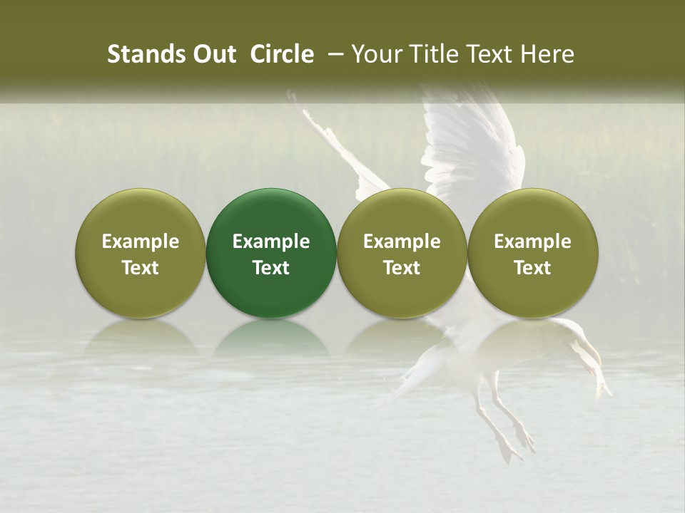 A White Bird Flying Over A Body Of Water PowerPoint Template