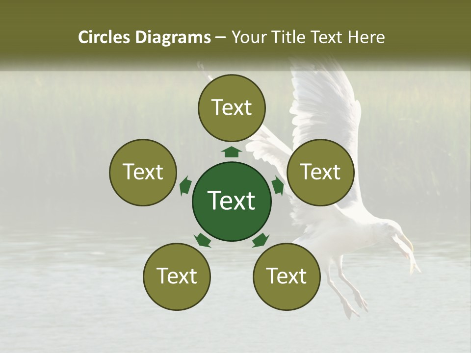 A White Bird Flying Over A Body Of Water PowerPoint Template