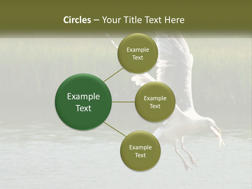 A White Bird Flying Over A Body Of Water PowerPoint Template