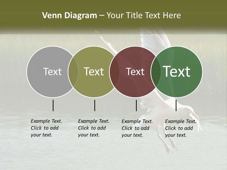 A White Bird Flying Over A Body Of Water PowerPoint Template