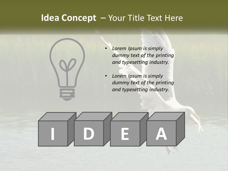 A White Bird Flying Over A Body Of Water PowerPoint Template
