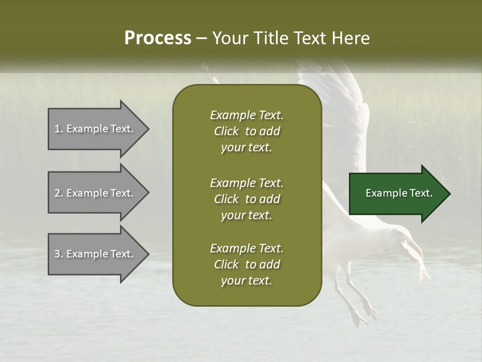 A White Bird Flying Over A Body Of Water PowerPoint Template