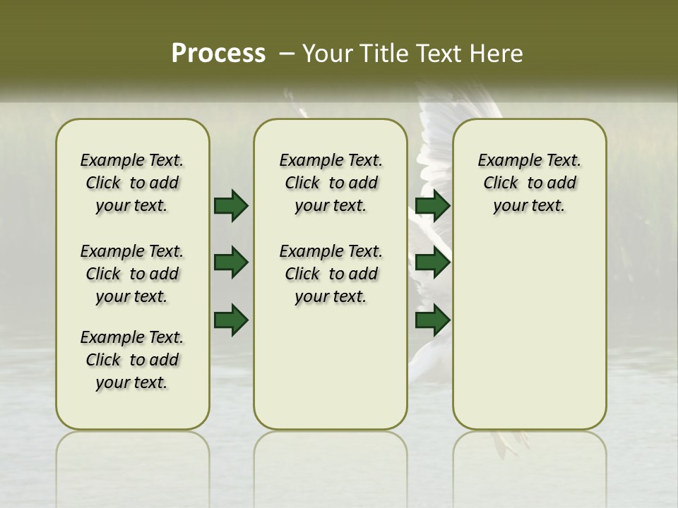 A White Bird Flying Over A Body Of Water PowerPoint Template