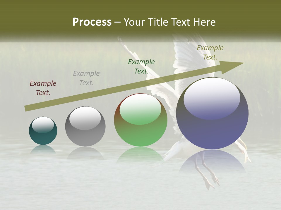 A White Bird Flying Over A Body Of Water PowerPoint Template