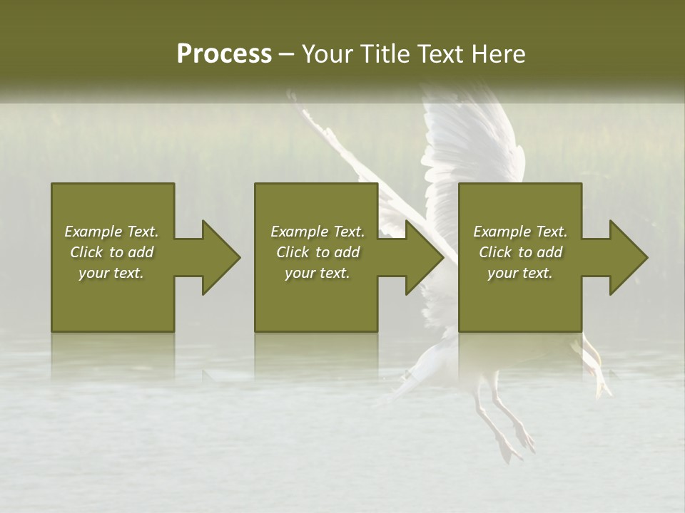 A White Bird Flying Over A Body Of Water PowerPoint Template