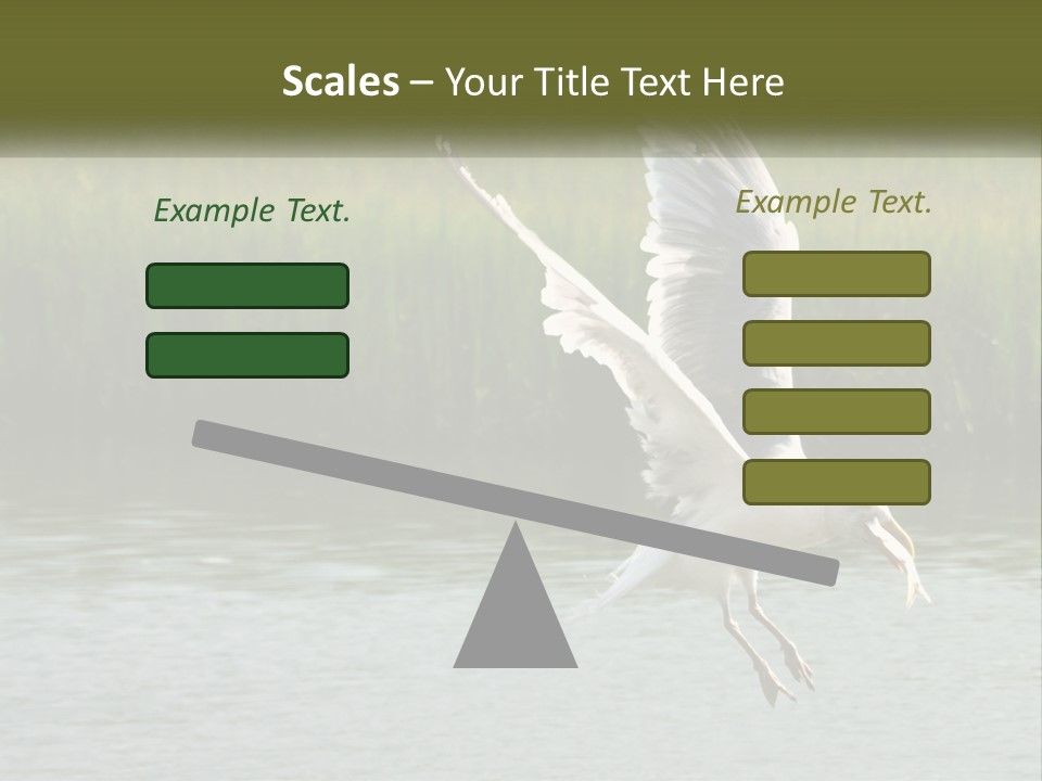 A White Bird Flying Over A Body Of Water PowerPoint Template