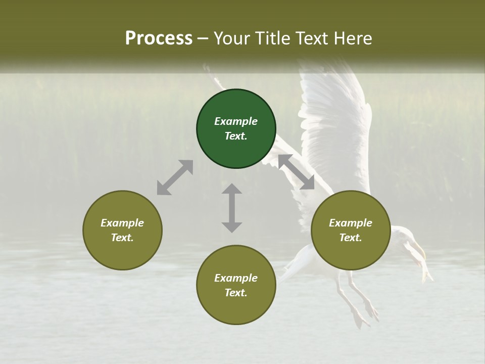 A White Bird Flying Over A Body Of Water PowerPoint Template