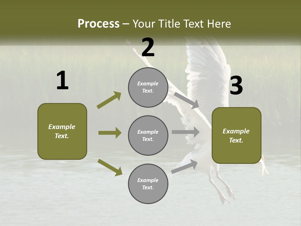 A White Bird Flying Over A Body Of Water PowerPoint Template