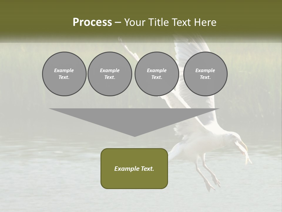 A White Bird Flying Over A Body Of Water PowerPoint Template