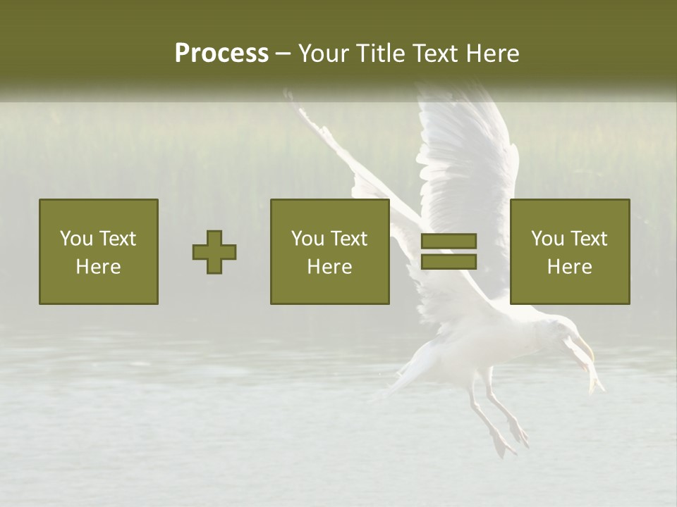 A White Bird Flying Over A Body Of Water PowerPoint Template