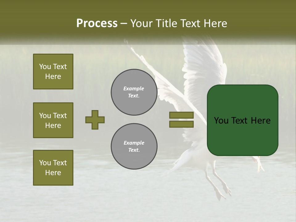 A White Bird Flying Over A Body Of Water PowerPoint Template