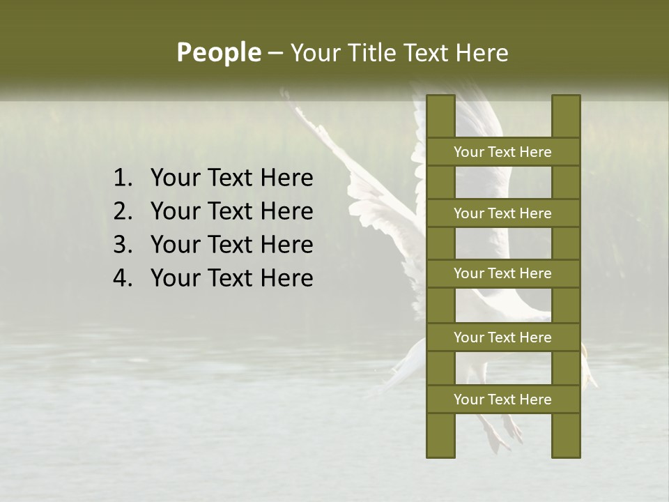 A White Bird Flying Over A Body Of Water PowerPoint Template